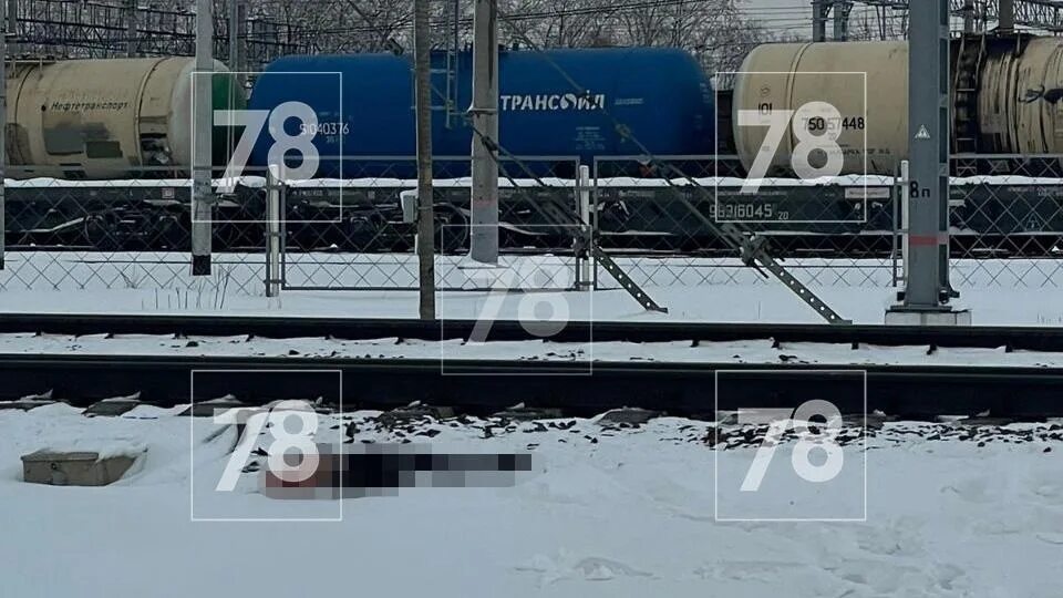 Сапсан сбитые люди