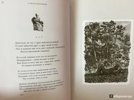 Тургенев щи