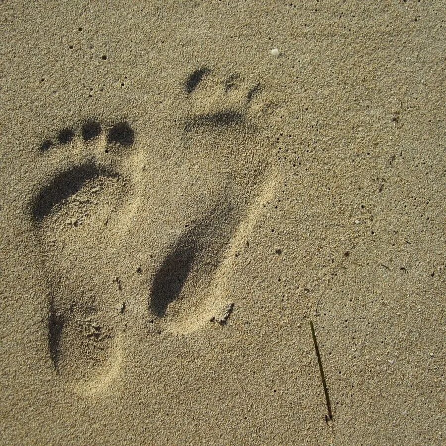 След в истории. Отпечаток стопы на песке. Следы на земле. Отпечаток босой ноги. Следы ног на грунте.