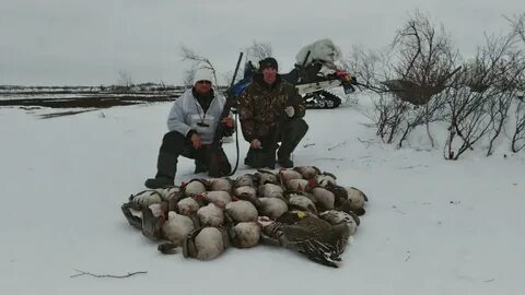 Охота и рыбалка на крайнем севере видео