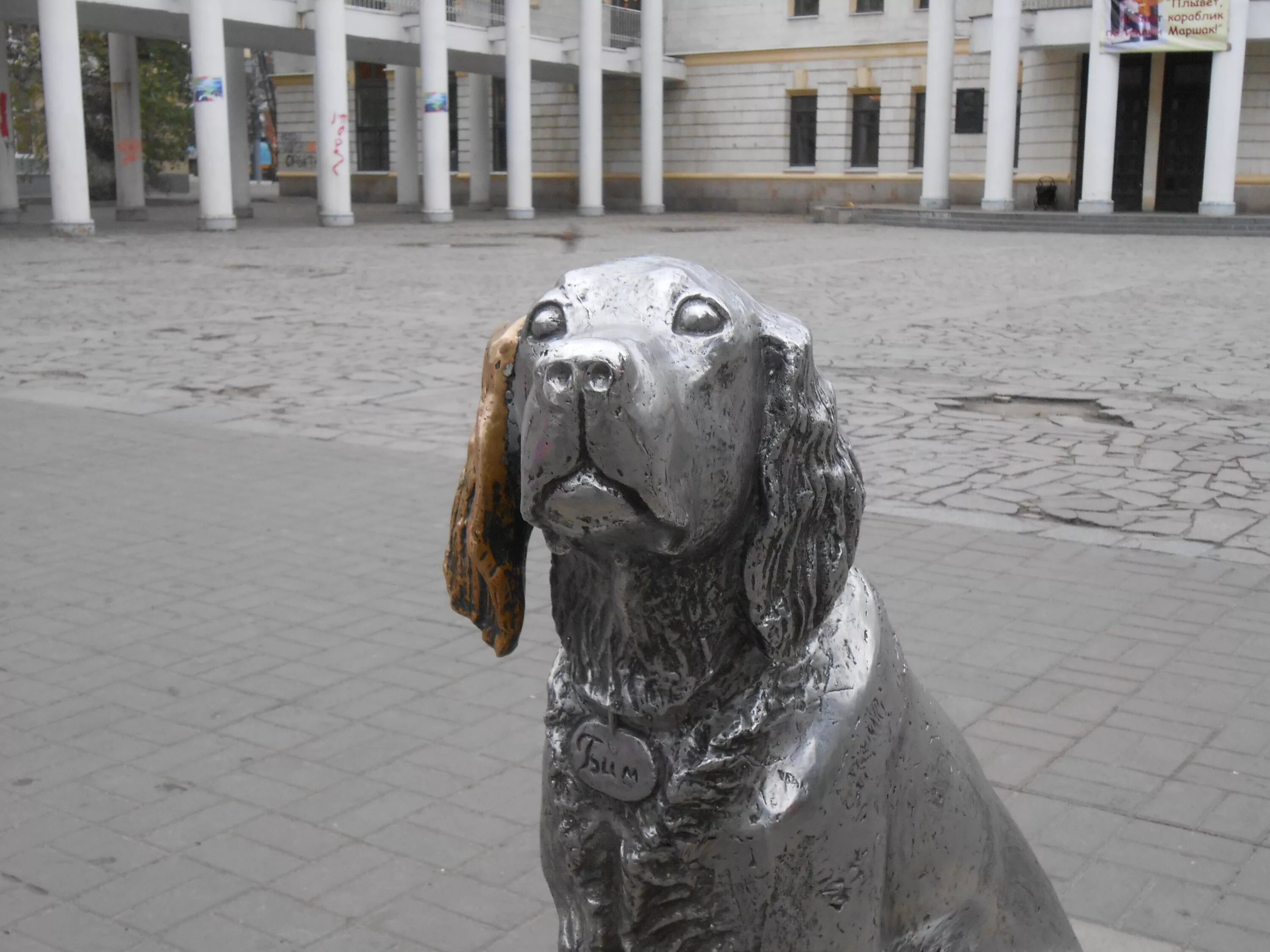 белый бим памятник в воронеже. собака воронеж где. памятник белому биму воронеж. белый бим черное ухо воронеж. белый бим черное ухо памятник в воронеже.