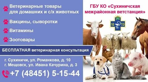 Вет плюс телефон