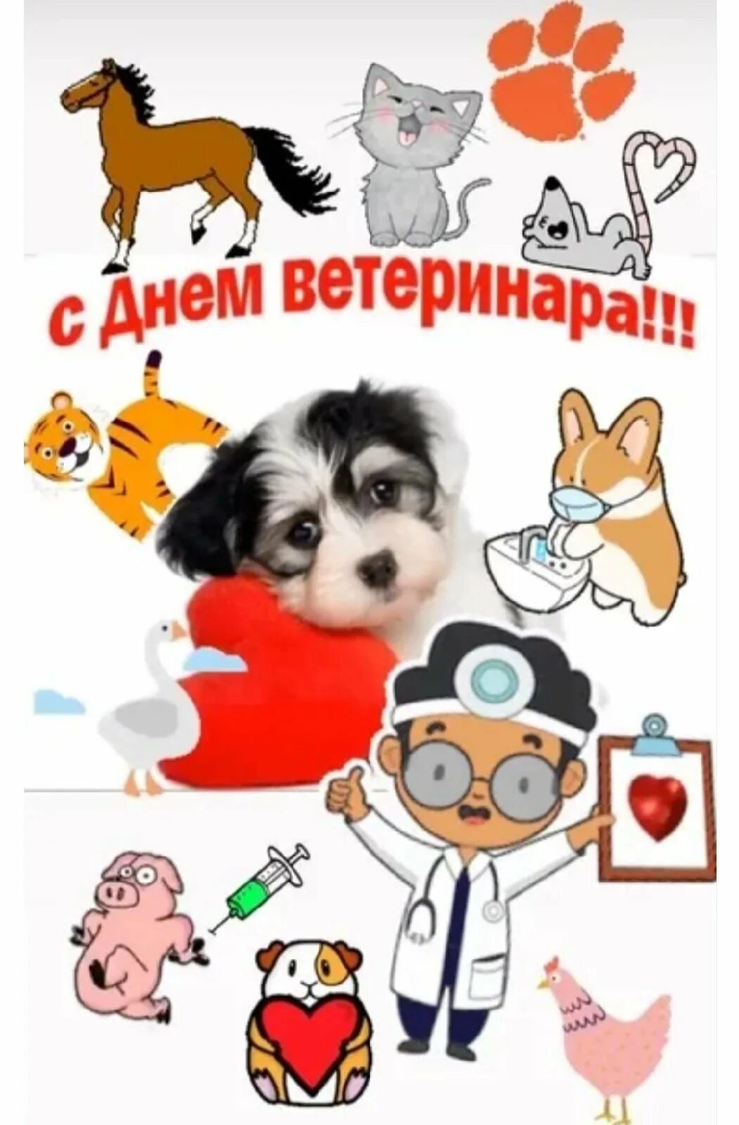 Поздравление с днем ветеринара. С праздником ветеринара. С праздником ветеринара. С праздником ветеринара. Поздравление с днем ветеринара.