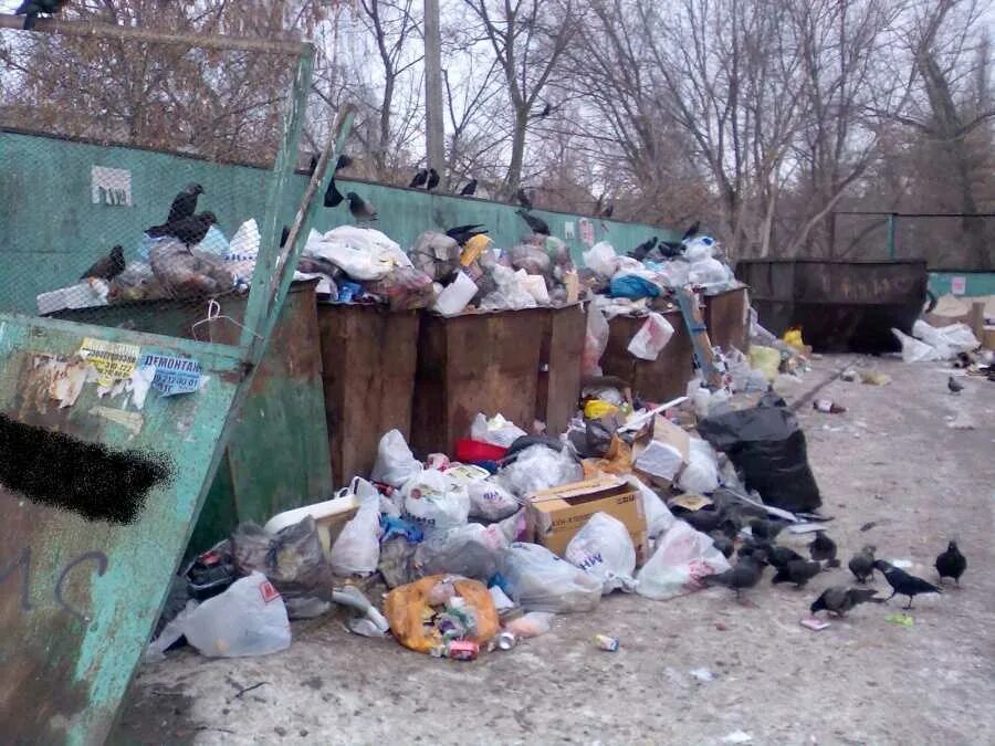 Корзина для мусора. Бак для мусора. Помойка. Сон мусорный бак. Сон мусорный бак.