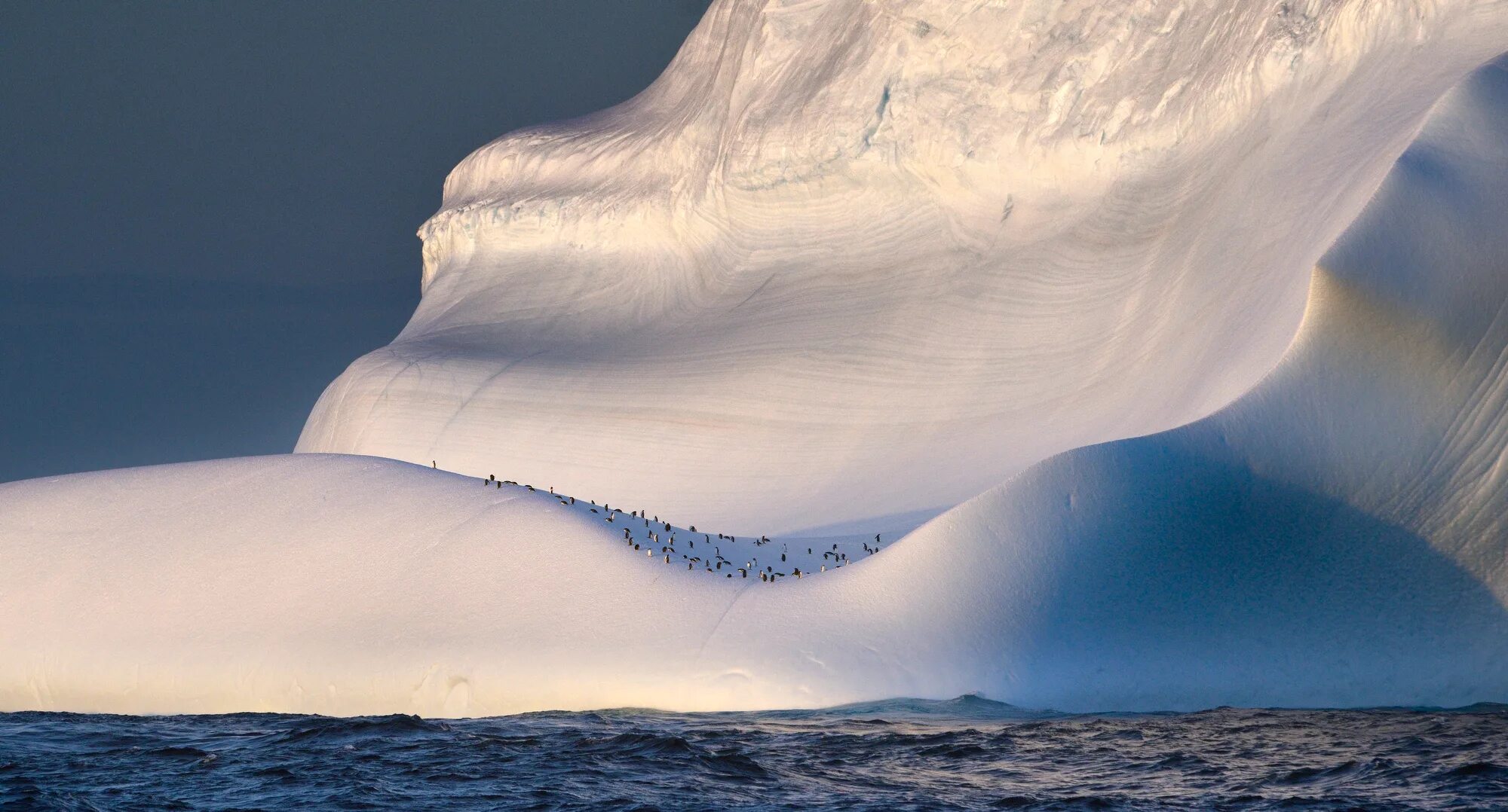 Море баффина океан. Море Линкольна. Море Линкольна фото. Море Баффина. Гренландская котловина.