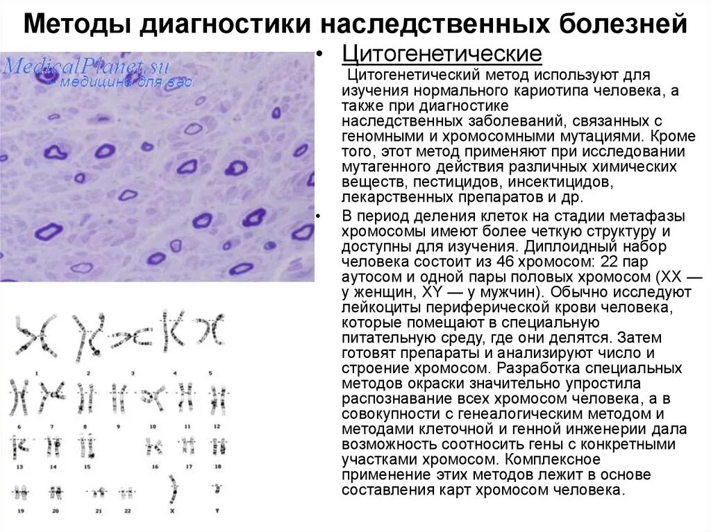 Какие методы используют для цитогенетического исследования. Цитогенетические методы диагностики наследственных заболеваний. Цитогенетические методы диагностики хромосомных болезней. Цитогенетический метод исследования наследственных заболеваний. Цитогенетический метод диагностики наследственных болезней.