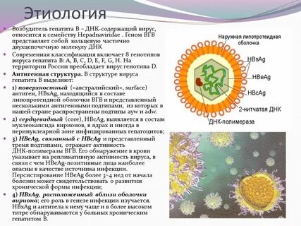 Гепатит вирусный как называется
