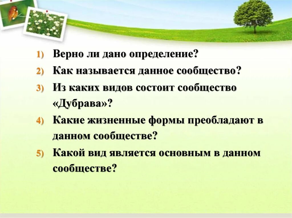 Вид состоит из. Верный это определение. Какие определения верны. Укажи верное утверждение леса России. Ведущая роль растений в природном сообществе заключается