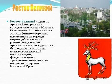 Какое дерево изображено на гербе ростова