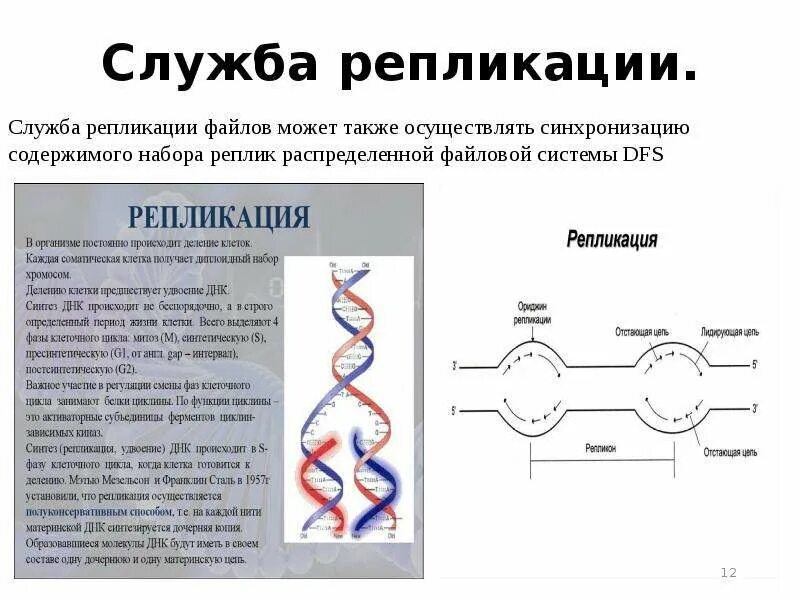 Репликация функции. Репликация. репликация данных. репликация в файловой системе. репликация это в информатике.