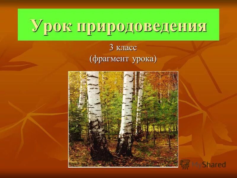 Уроки природоведения 5 класс