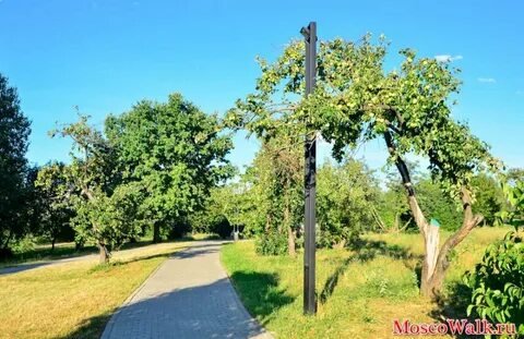 Митино 9