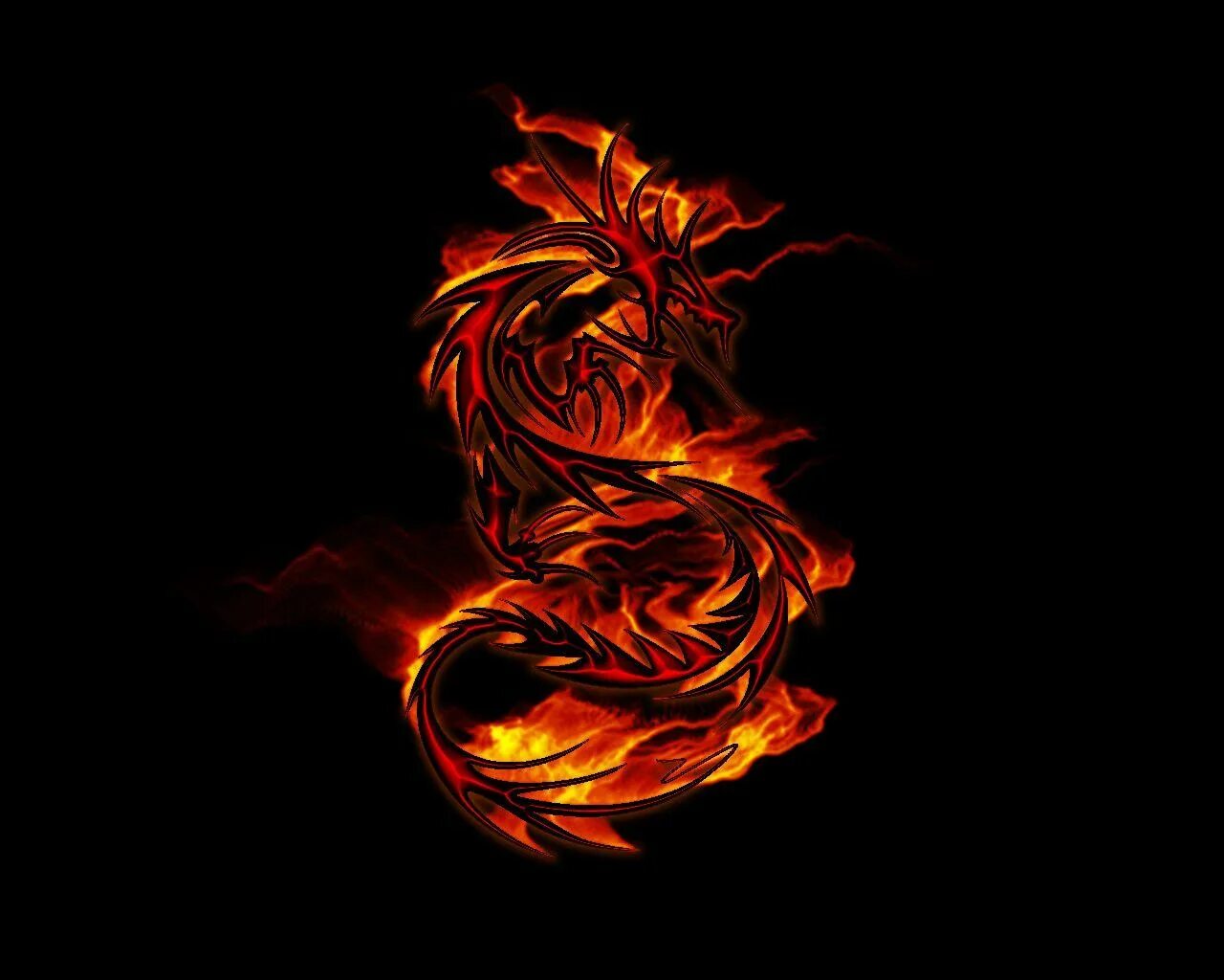 Огненный дракон. Дракон в огне. Пламя дракона. Дракон на черном фоне. Змея в огне