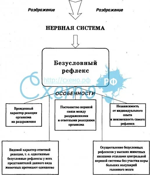 Особенность условных рефлексов заключается в том что. Классификация рефлексов схема. таблица классификация безусловных рефлексов. схема рефлекса. рефлексы условные и безусловные схема.