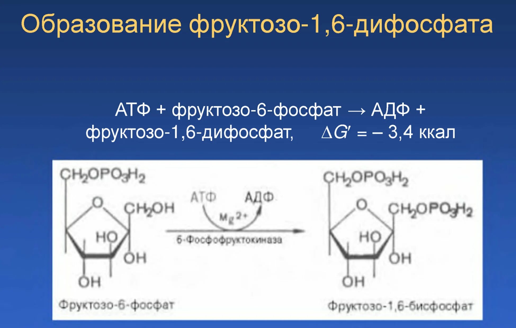 Образование фруктозо-1.6-бисфосфата. Β-D-фруктозо-1,6-дифосфат. Фруктозо-6-фосфат фруктозо-1.6-дифосфат. Фруктозо 1 6 дифосфат формула.