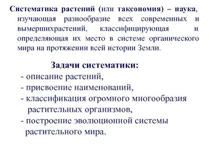 Объект и предмет систематики в биологии