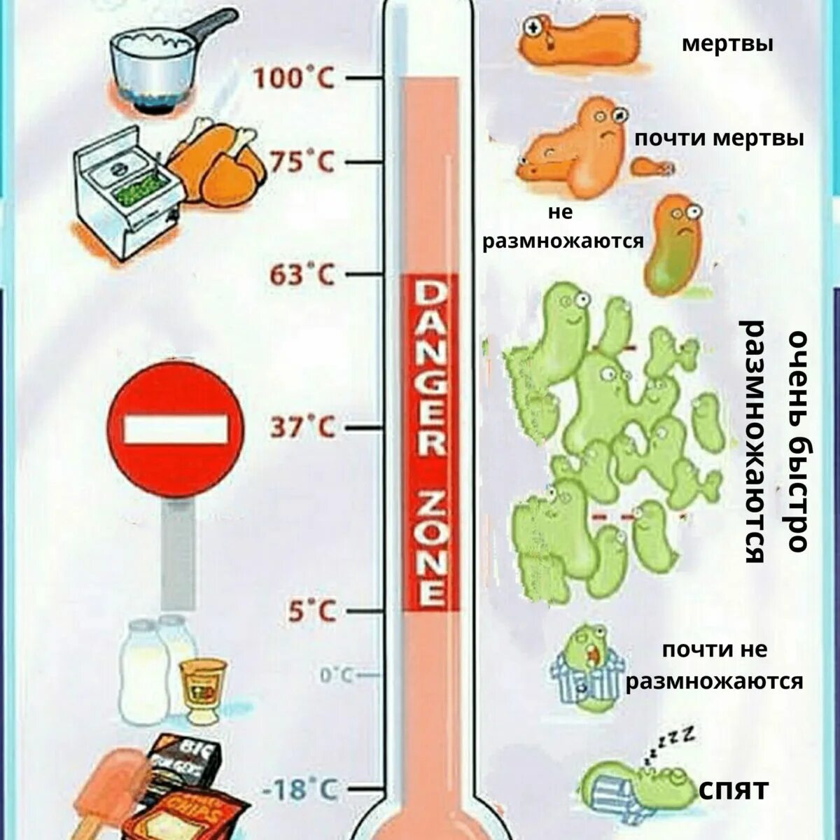 Продукты комнатной температуры. Влияние температуры на микроорганизмы. Влияние температуры на бактерии. Влияние низких температур на микроорганизмы. Влияние температуры на размножение бактерий.