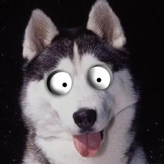 Прикольные тг