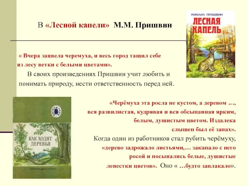 Произведения пришвина краткие. Рассказ Лесная капель пришвин. Михаила Михайловича Пришвина Лесная капель.