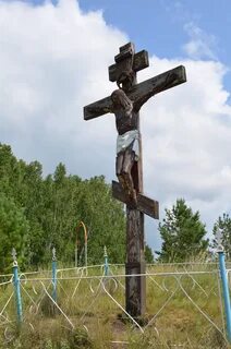 Лог алтайский край