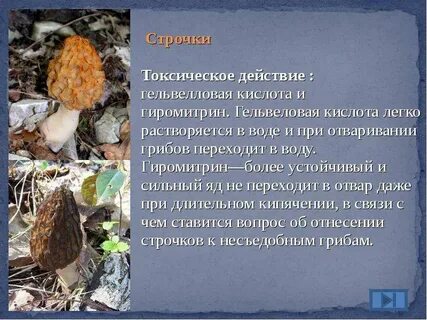 Ем строчки