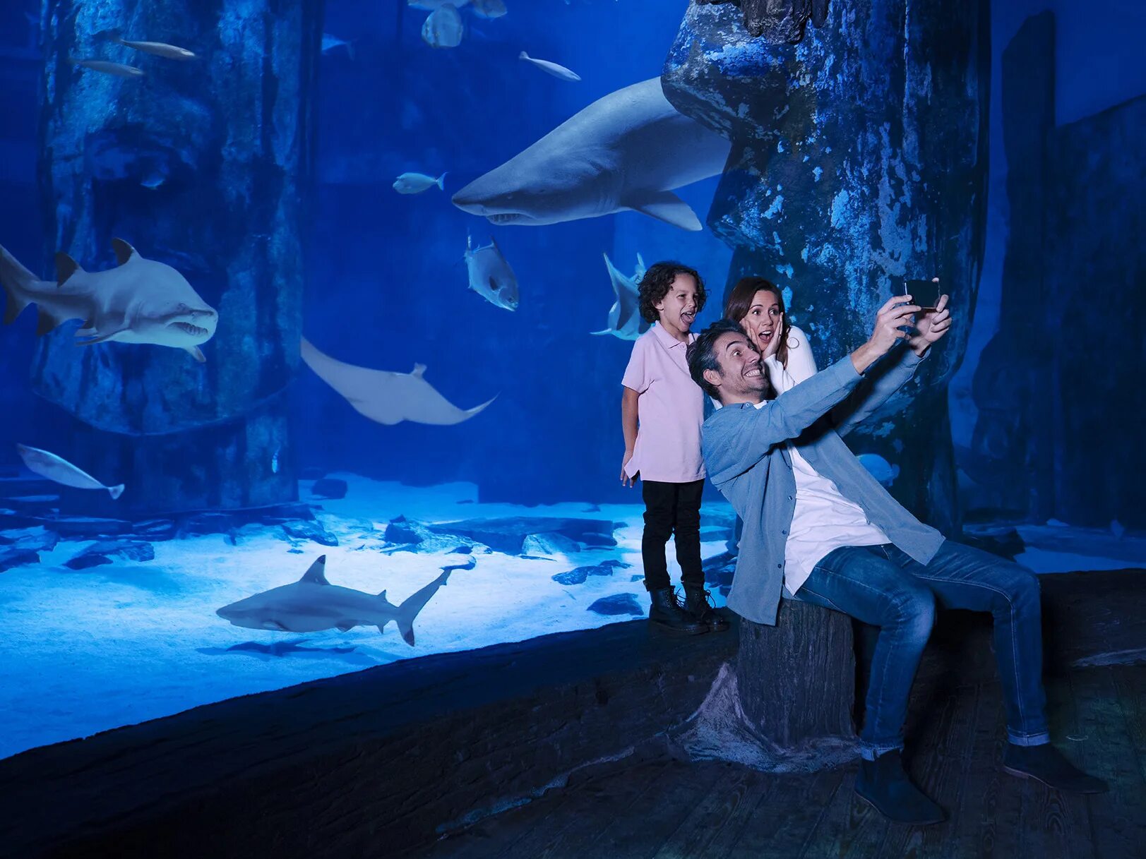 Лондонский аквариум. (Sea Life. London Aquarium). Аквариум Sea Life.Лондон tickets. Океанариум в Стамбуле Sealife. Этажи аквариума Sea Life.Лондон. Отзыв sea life