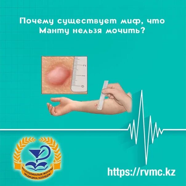 Почему нельзя мочить манту.