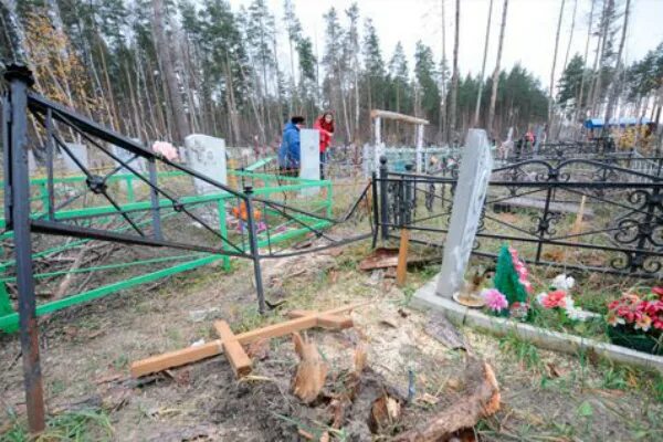 Дятловское кладбище сайт. Воронеж Березовка кладбище. Буденовское кладбище Воронеж. Заброшенные кладбище Воронежской области. Горловка кладбище.