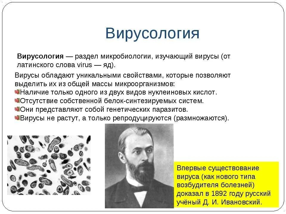 Микробиология занимается. Вирусология. вирусология это наука. предмет изучения вирусологии. вирусология микробиология.