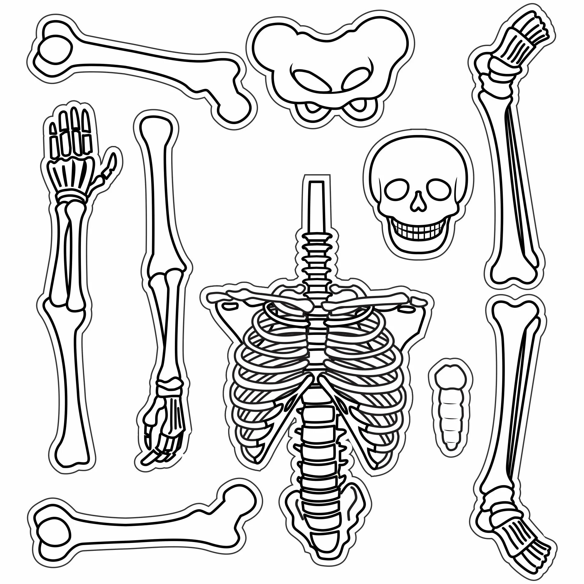 Bones cut. Скелет человека. Скелет человека трафарет. Кости скелета печать. Скелет человека для распечатки.