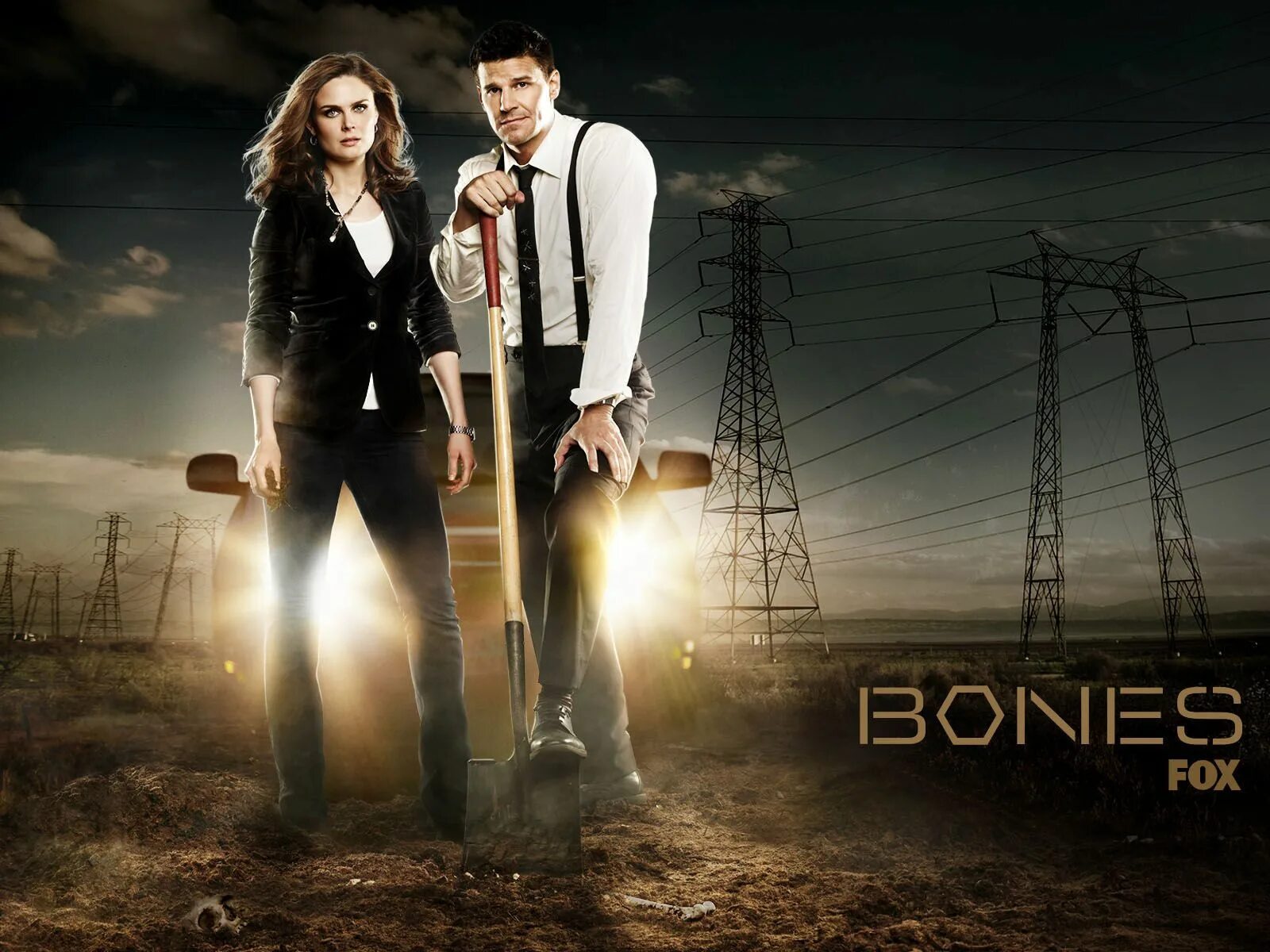 Bones series