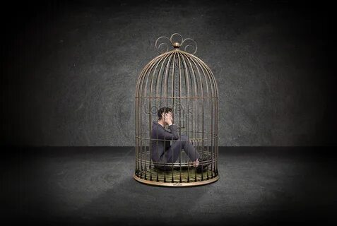 Песня эта клетка открыта с обеих сторон