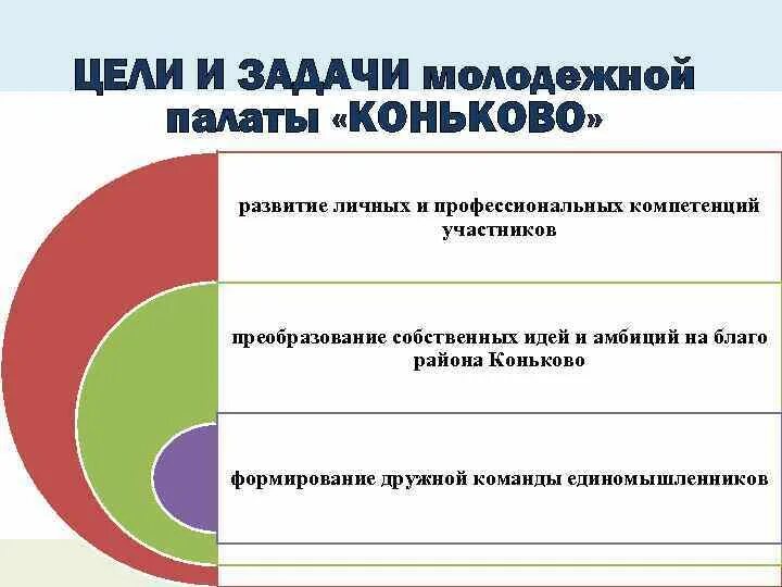 Задачи молодежных организаций. Цели и задачи молодежной политики. Молодежная политика задачи. Задачи молодежной политики РФ. Цели и задачи молодежного правительства.