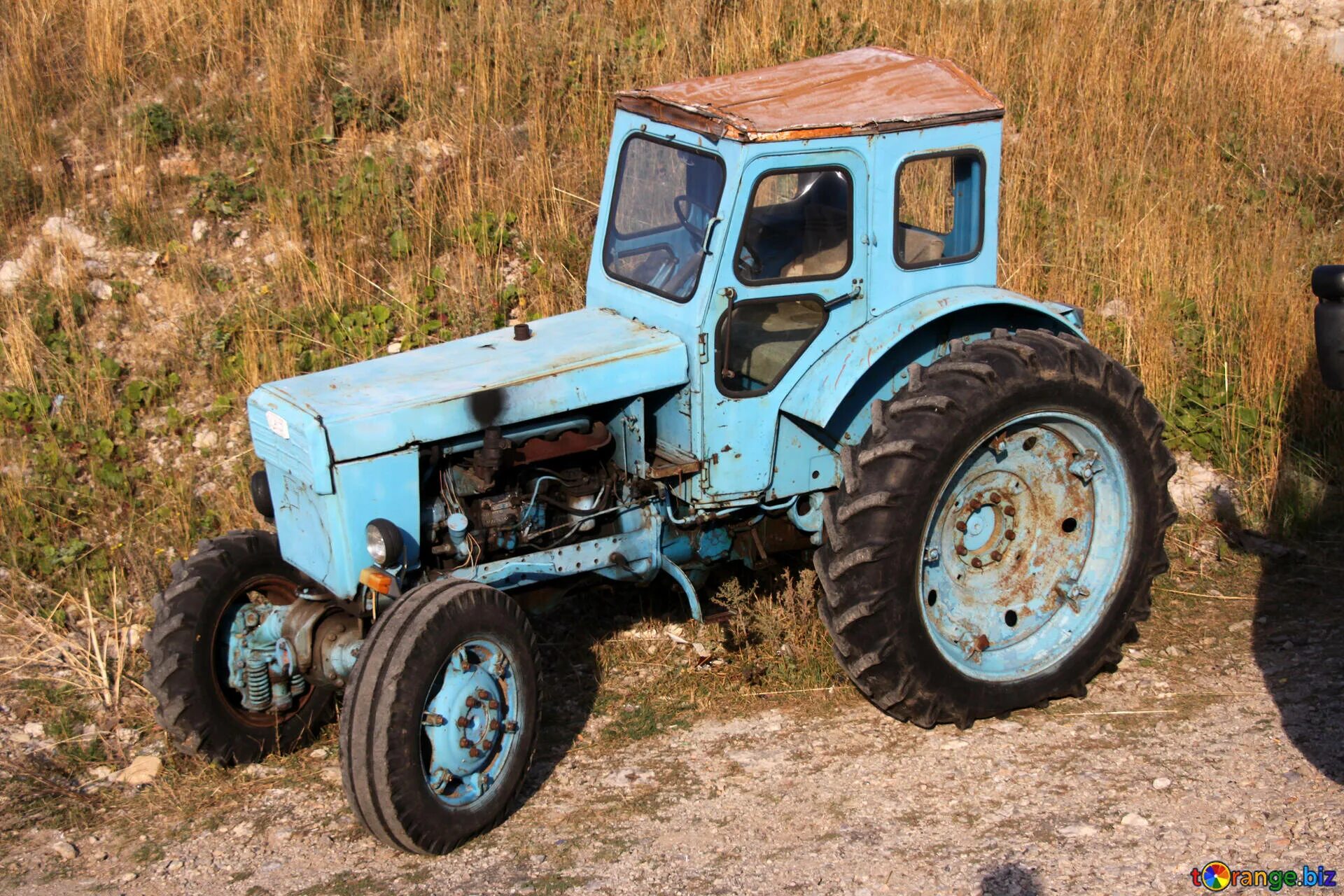 Купить старый трактор. МТЗ-50 трактор экспортный. Старый трактор. Трактор МТЗ старый. Колесные трактора СССР.