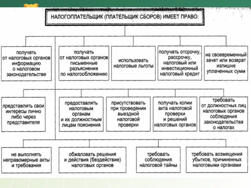 Порядок защиты прав налогоплательщика. Налогоплательщики и плательщики сборов. Способы защиты прав налогоплательщиков.