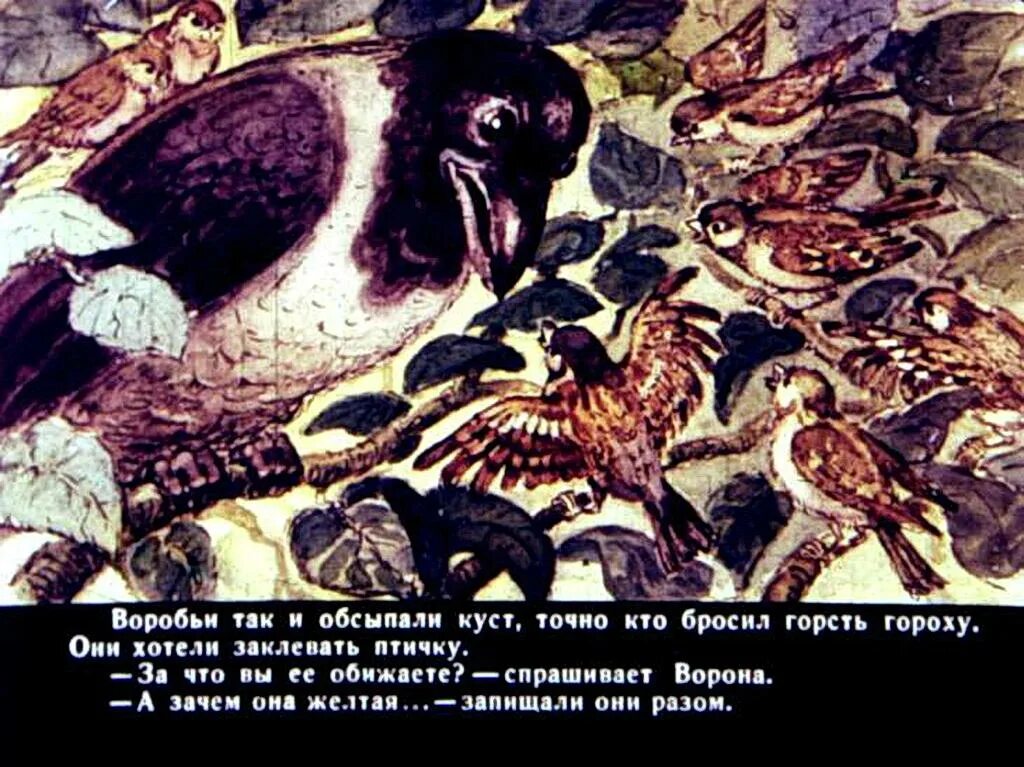 Сказки мамина сибиряка про воронушку черную головушку. Сказка про воронушку мамин сибиряк. Сказка про воронушку черную головушку. Ворона и канарейка мамин сибиряк. Мамин сибиряк сказка про канарейку воронушку черную головушку.