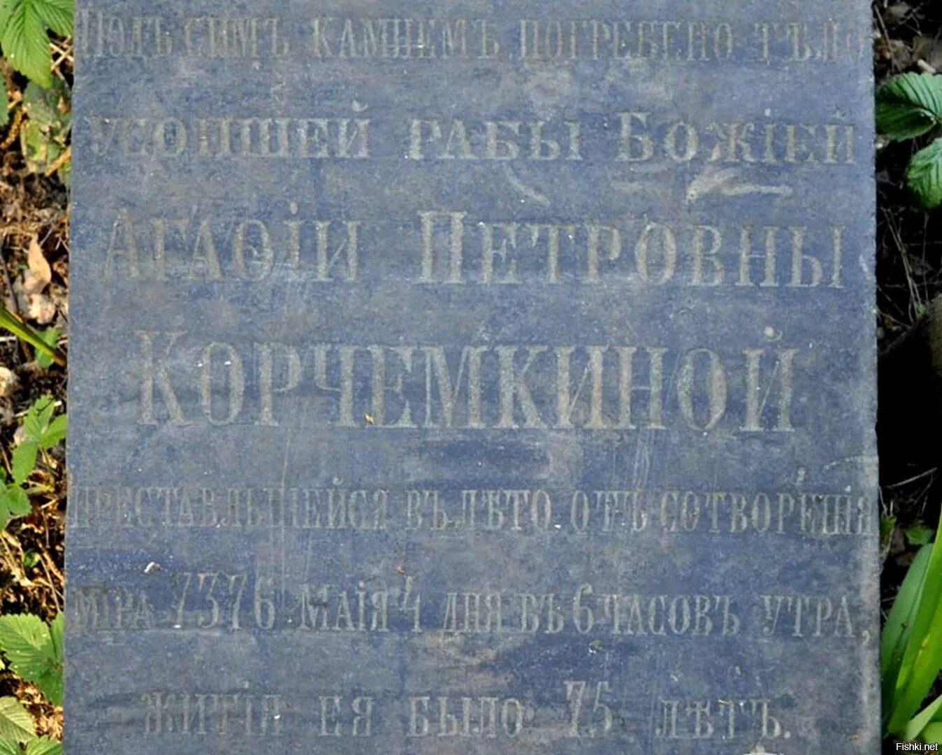 С м з х