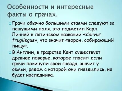 Интересно о грачах