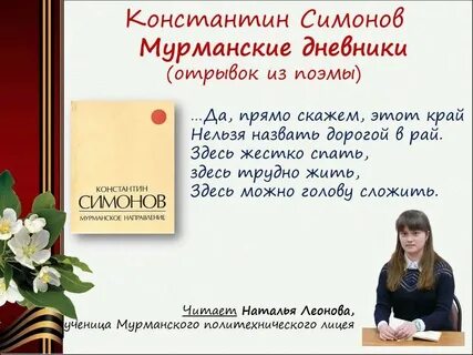 Дневник мурманск