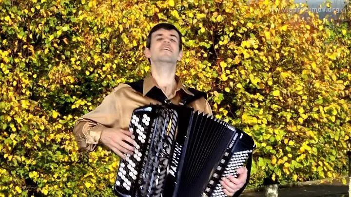 Цыганочка на аккордеоне. Цыганочка на баяне. Баян абросимов цыганочка. Баянист сурайкин цыганочка. Баян цыганочка видео.