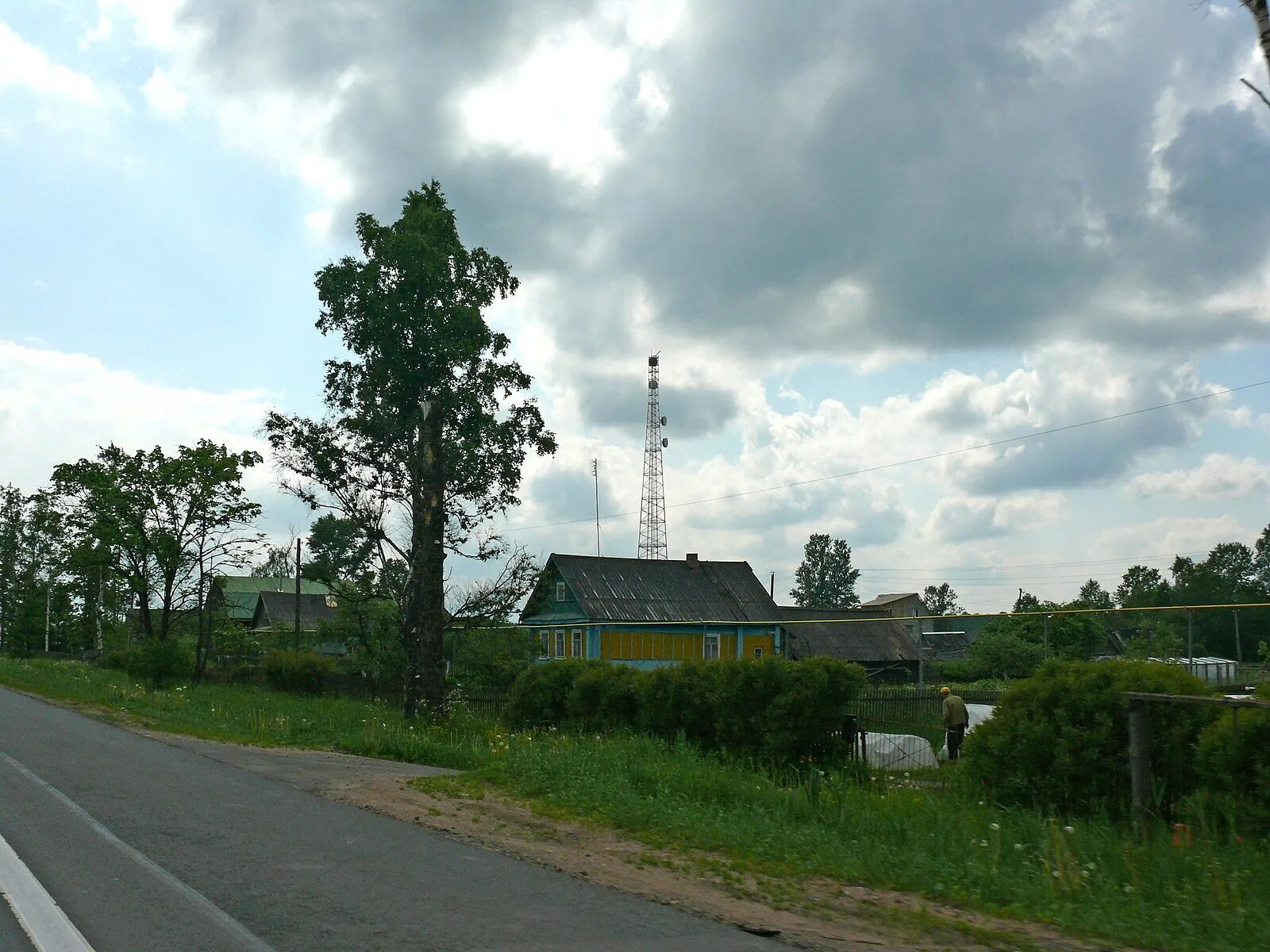 , чудовский р-н, д. Деревня трегубово. Осиновец новгородская область. Трегубово новгородская. Трегубово новгородская область школа.