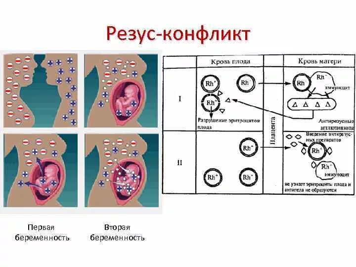 Группа конфликт матери и ребенка