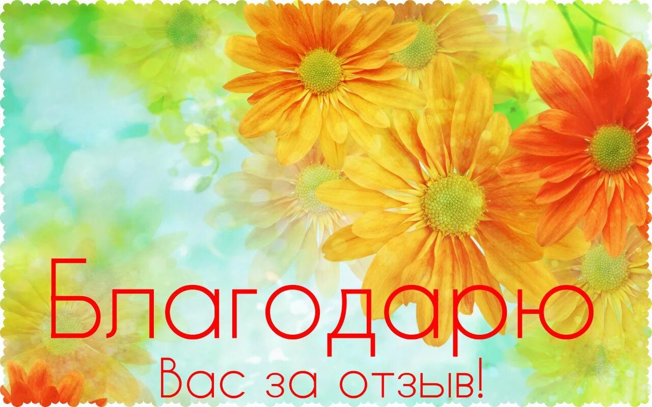 Буду благодарен за отзыв. Благодарность за отзыв. Спасибо за отзыв. Спасибо за отзыв картинка. Благодарю за отзыв картинки.