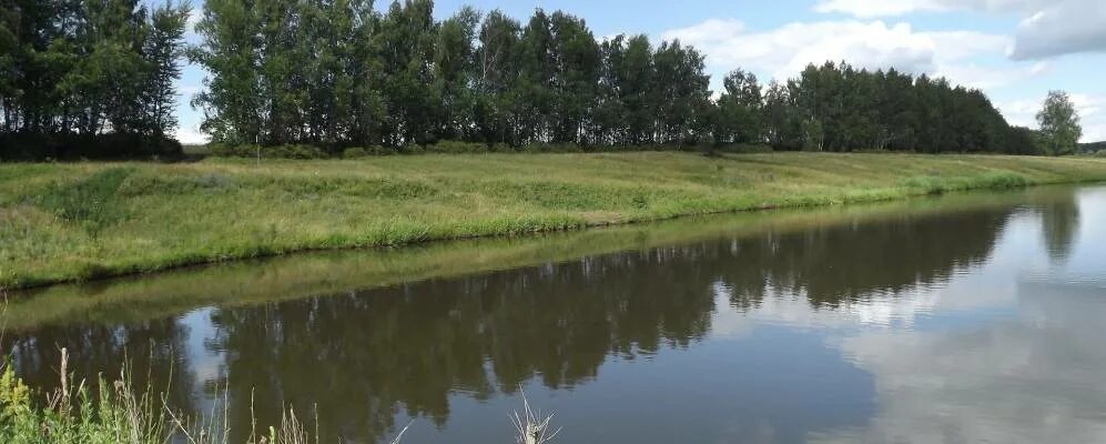 Поселок метростроевский. Тульская область д островки улица лесная. Островки веневский. Островки веневский. Островки веневский.