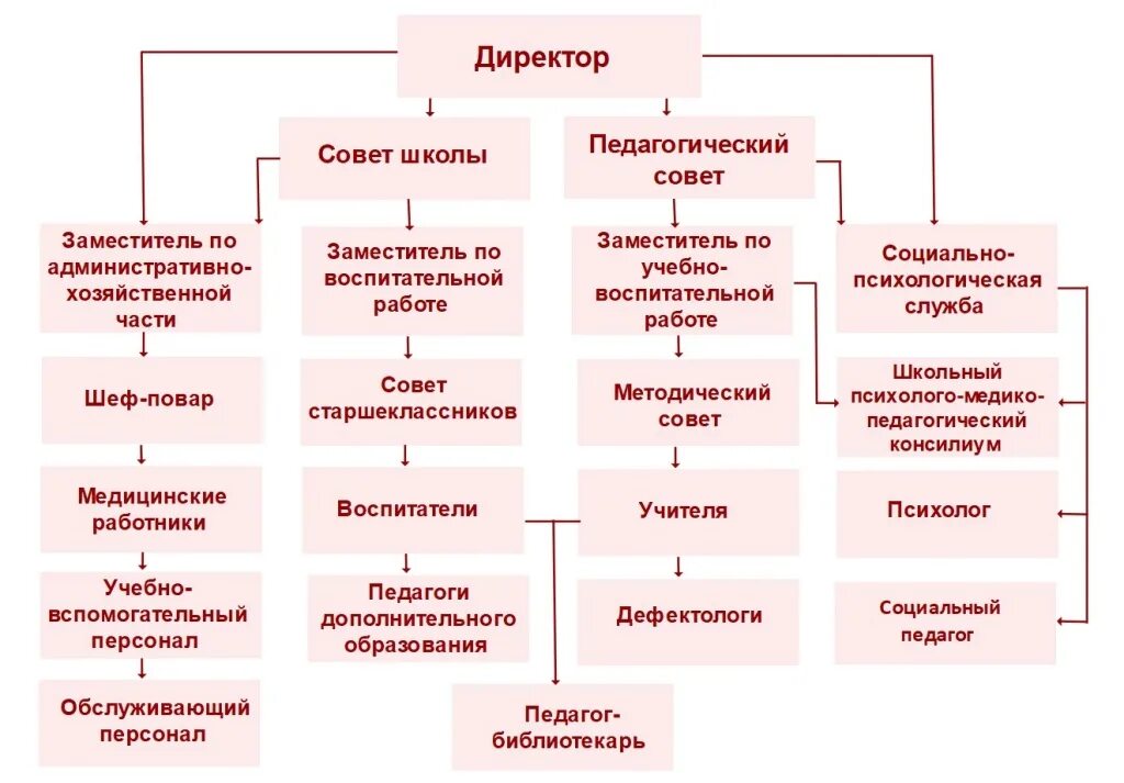 Строение школа. Организационная структура предприятия школы схема. Управленческая структура школы. Должностная структура школы. Строение школа.