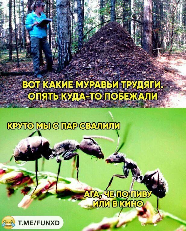День трудяги картинки прикольные с надписями. Открытки с днём трудяги 22 июля. День трудяги. День трудяги 22 июля картинки с надписями. День трудяги 22 июля картинки с надписями.