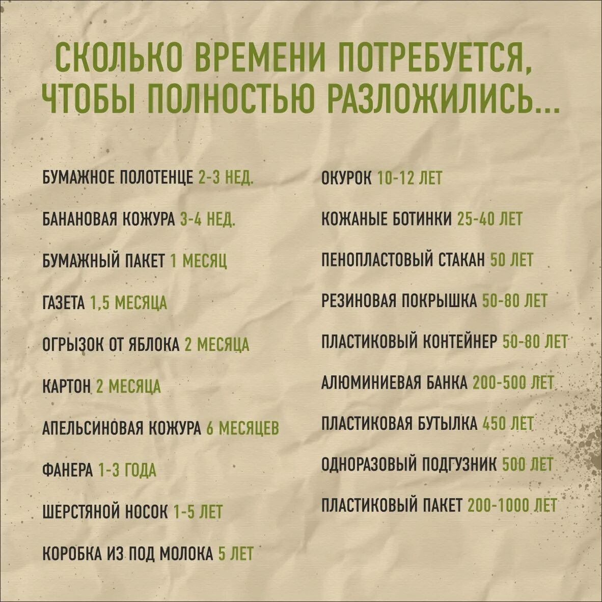 Через сколько времени погибают. Колько человек разлогается в земле. Сколько разлагается человек. Стадии трупного разложения. За сколько сгнивает человек.