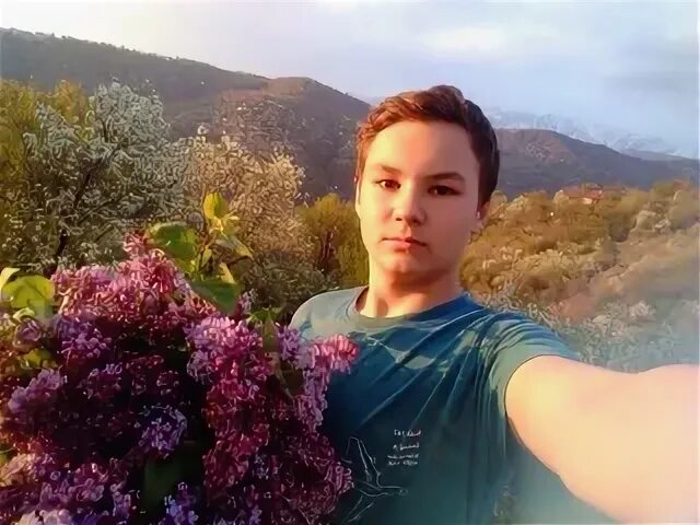 11 милей