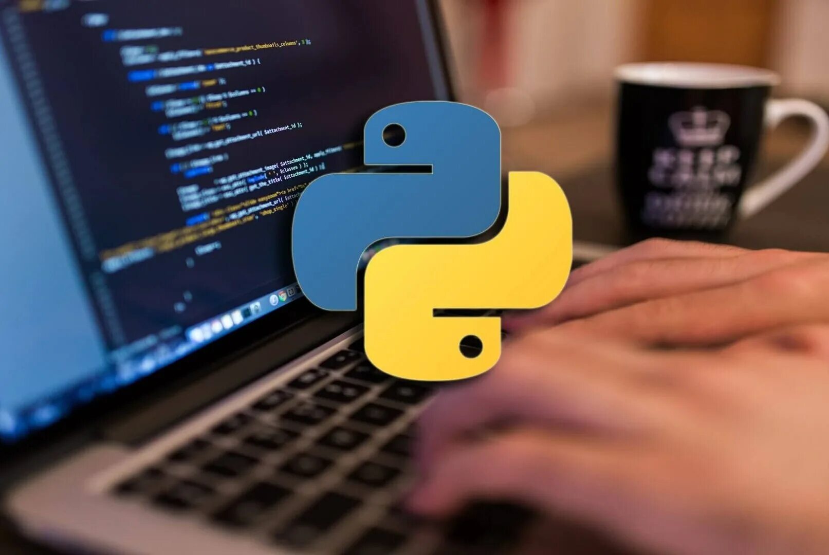 Python разработка обучение. Питон язык программирования. программирование на python. python картинки. питон прога.