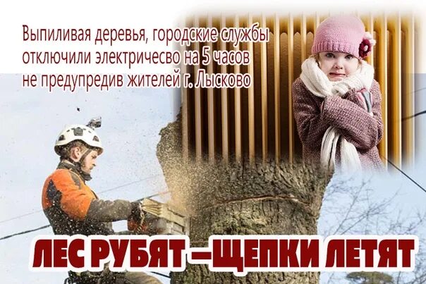 Что значит лес рубят щепки летят. Лес рубят щепки летят сталин. пословица лес рубят щепки летят. лесрубят щепки летяь. лес рубят щепки летят значение.